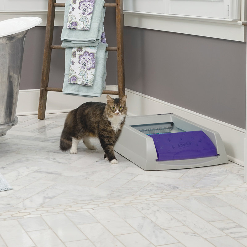 PetSafe® Scoopfree Plastic Automatic Litter Box & Reviews Wayfair